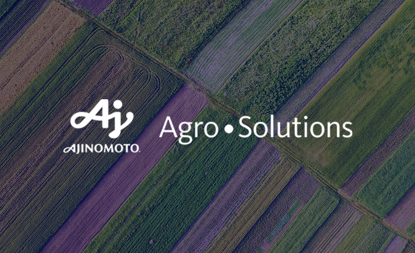 trazabilidad-estandarizacion